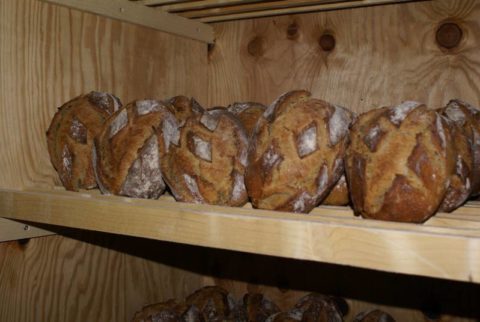 Pain et pâtes de paysan boulanger
